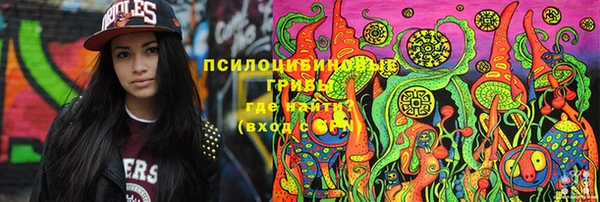 шишки Пестово