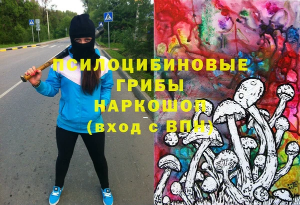 амф Белокуриха