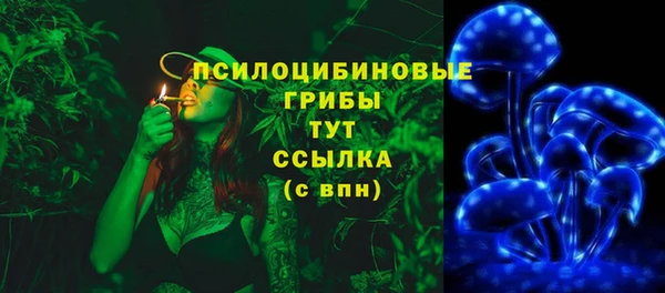 шишки Пестово
